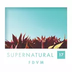 s u p e r n a t u r a l . 17