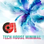 Tech House Minimal 2017