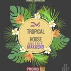 Tropical House #1/17 - Dmitriy Makkeno