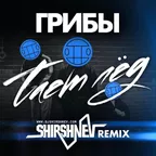 Грибы — Тает Лед (Shirshnev Remix)