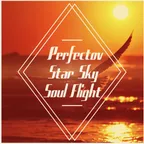 Soul Flight Mix