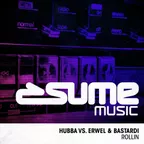 Hubba vs. Erwel & Bastardi - Rollin (Original Mix)