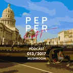 Pepper Cat Podcast 013/2017