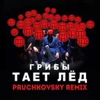 Грибы - Тает Лед (Pruchkovsky Remix).