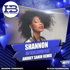SHANNON - LET THE MUSIC PLAY (DJ ANDREY SANIN REMIX)