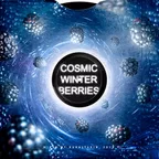 Cosmic Winter Berries