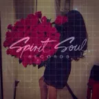 Spirit Soul Guest Mix (April 2017)