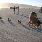 Burning Man MMXVII - XXXIV