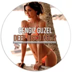 Deep Disco vol.2