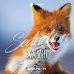 Seduction #28