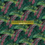 Favourites Of The Month (June 2017)