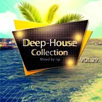 Deep House Collection vol.29