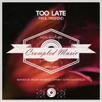 Paul Weekend - Too Late (Johnny Astro & Shepelev Remix)