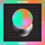 Hoa Tapes (Volume 7) 
