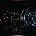 DJ Richard Noise - Flash (Original Mix)