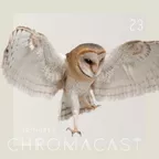 Chromacast 23
