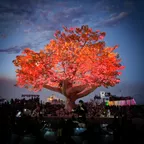 Tenere: Treescape [Burning Man 2017] 