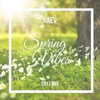 RAEV - Spring Vibes Mix 2017(No Jingle)