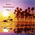 The Penetration vol.7 (IndieDance/NuDisco/VocalHouse) 
