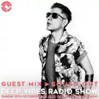 Deep Vibes Radio Show