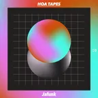 Hoa Tapes (Volume 10)