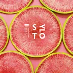 STYLO #6 (December 2017)