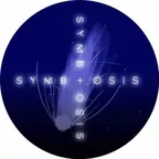 Live @ Symbiosis (Aznap Bar, Budapest)