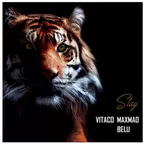Vitaco & MaxMao & BeLu - Stay (Radio mix)