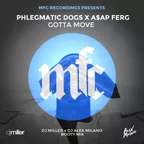 Phlegmatic Dogs x A$AP Ferg — Gotta Move (DJ Miller x DJ Alex Milano Bootymix)