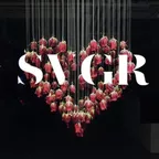 The Best Of SVGR 2017