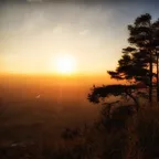 Mindfulness Episode 37 