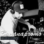 Bananapromo #1