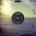 Train Travels Deep