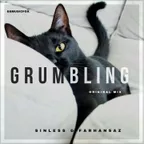 Sinless & Farhansaz - Grumbling (Original Mix)