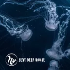 Beach Bar Music vol.07 (Webphre Radio Show)