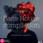 Project Deeptica & DJ Riesling - Bass House Compilation vol.2