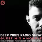 Deep Vibes Radio Show (18.02.2018)