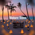 Beach Bar Music vol.08 (Webphre Radio Show) 