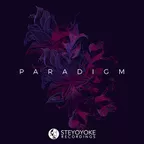 Steyoyoke Paradigm vol.02