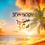 Joint Mix