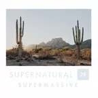 S u p e r n a t u r a l . 29