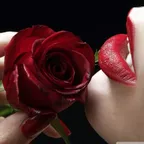 House Seduction vol. 46