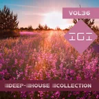 Deep House Collection vol.36