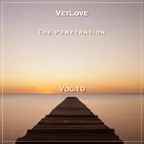 The Penetration vol.10 (House Mix) 