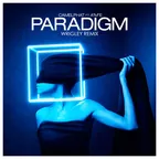 CamelPhat feat. AME – Paradigm (Wrigley Remix)
