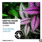 Deep Nu House Episode 012 (Ibiza Global Radio) 