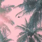 JUST 8: BELARIC & MIAMI HOUSE