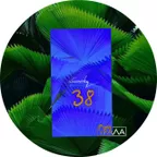 Живая Игра /Выпуск 38