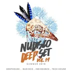 NUDISCO DEEP VOL.14 (SUMMER SET JUNE 2018) 