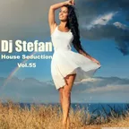 House Seduction Vol. 55